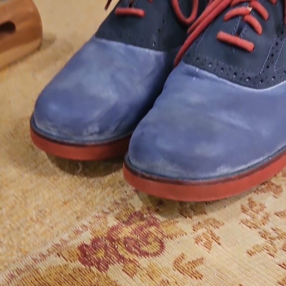 UGG Navy and Burgundy Oxfords